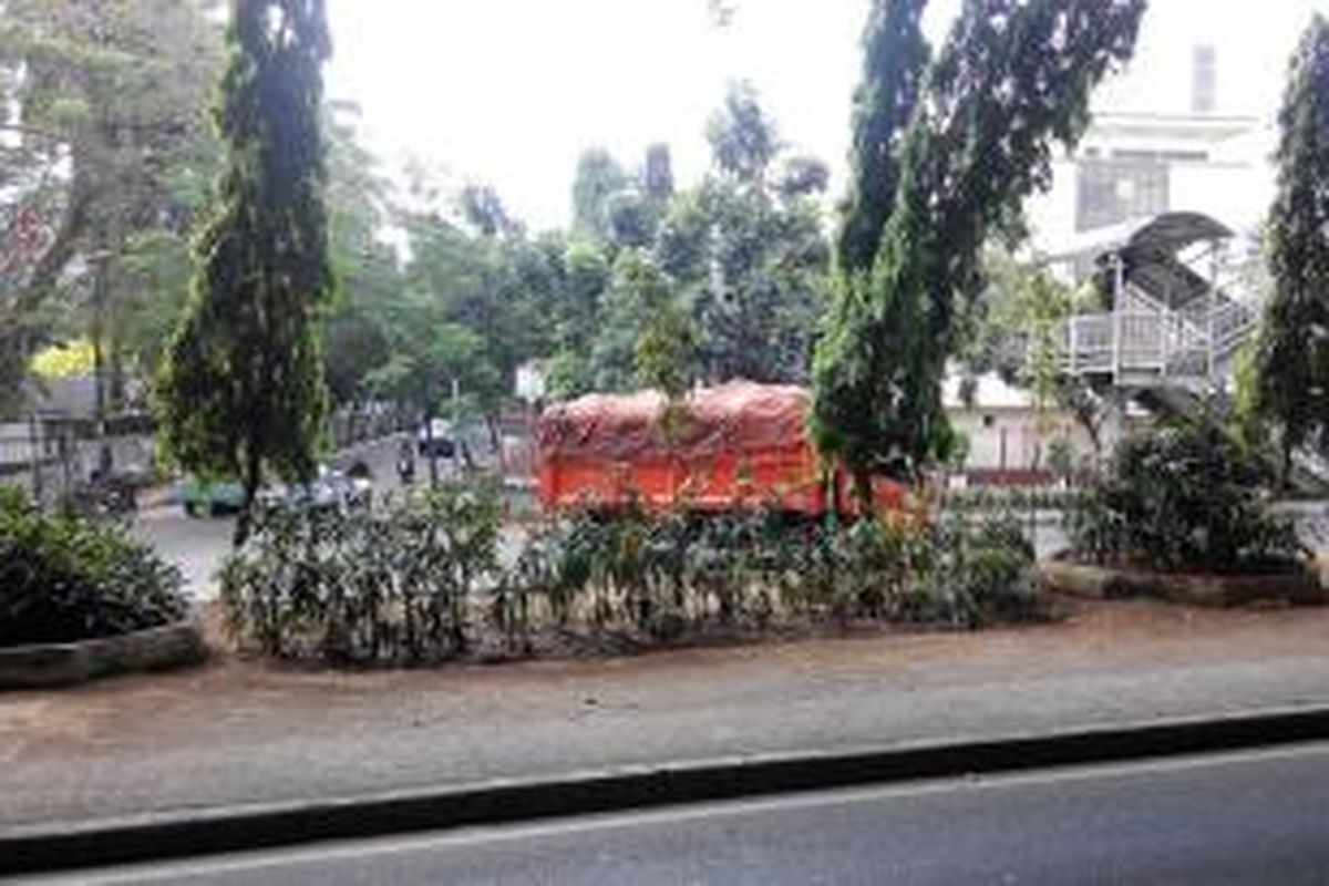 Tanaman layu di Jakarta Utara.