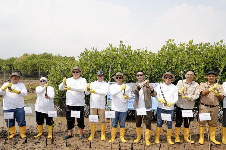 Penanaman 2.500 pohon mangrove di pesisir Semarang melibatkan masyarakat lokal.