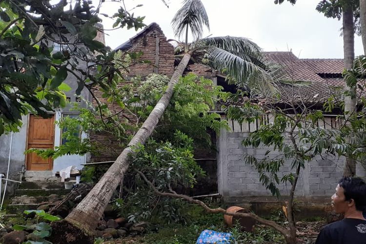 Rumah salah seorang warga rusak akibat tertimpa pohon karena puting beliung