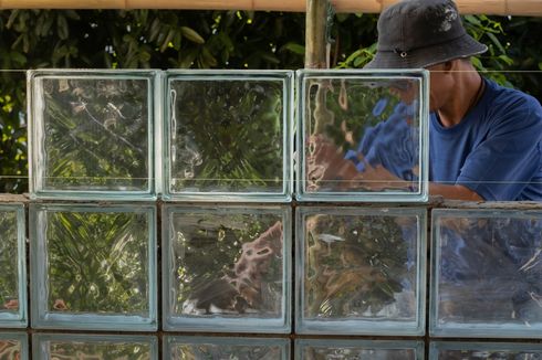 Serba-serbi Glass Block yang Perlu Diketahui, Bikin Rumah Lebih Terang