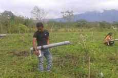 Puluhan Ekor Gajah Kepung Desa, Warga 2 Dusun Mengungsi