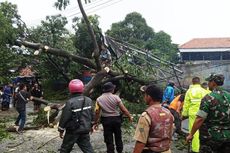 Pohon Tumbang di Jalur Cianjur-Sukabumi, Akses Lalu Lintas Lumpuh