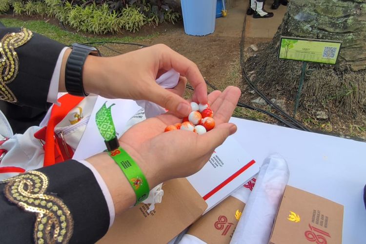 Kelereng dan Karet Masuk Jadi Suvenir HUT Ke-81 RI, Ini Makna di Baliknya