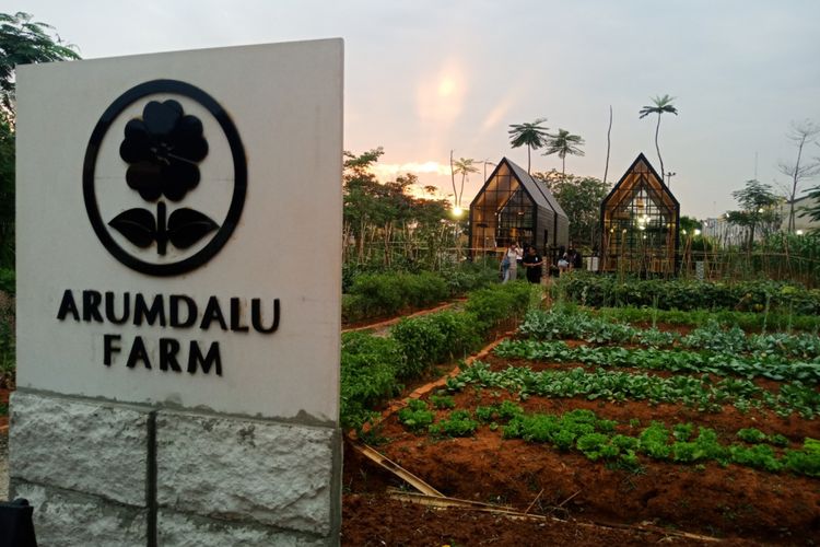 Suasana sore hari, di Arumdalu Farm di Scientia Park, Serpong salah satu wisata agro di dekat Jakarta, Selasa (18/9/2018).