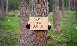 Tantangan Asia Hadapi Krisis Iklim: 'Greenwashing' hingga Inkonsistensi Kebijakan