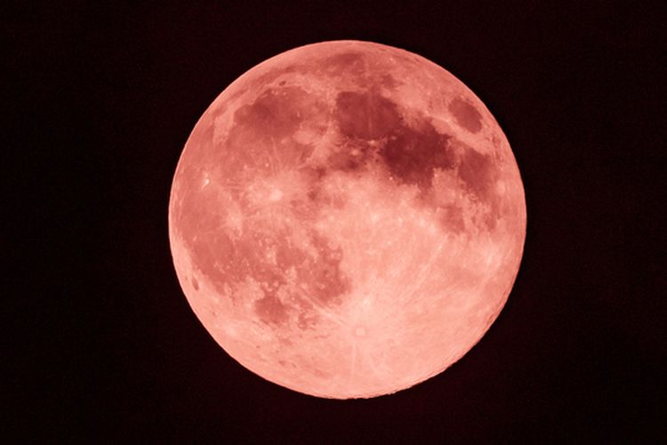 Ilustrasi bulan purnama stroberi atau strawberry full moon