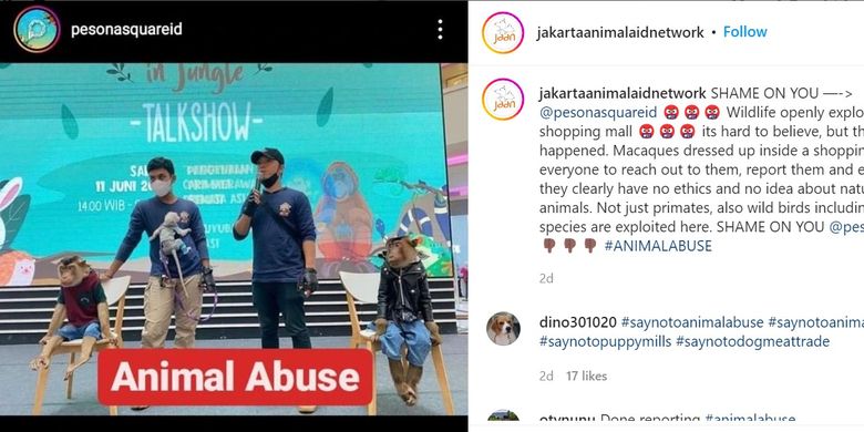 primata berkostum dan mengenakan rantai di Pesona Square, Depok. 