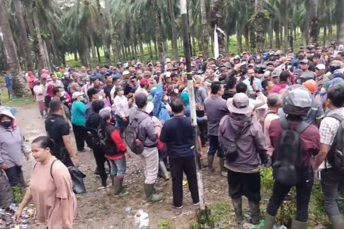 Buka Blokade, Ratusan Karyawan PT Agricinal Bentrok dengan Warga