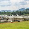PON XX Papua 2021, Stadion Hoki Doyo Baru Punya 2 Pemandangan Indah