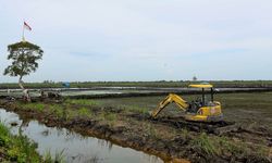 Padi Rawa Siap Panen pada Peringatan Hari Pangan Sedunia 2018