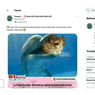 Viral, Unggahan Sebut Lumba-lumba Suka Bermain dengan Ikan Buntal agar Mabuk, Benarkah?