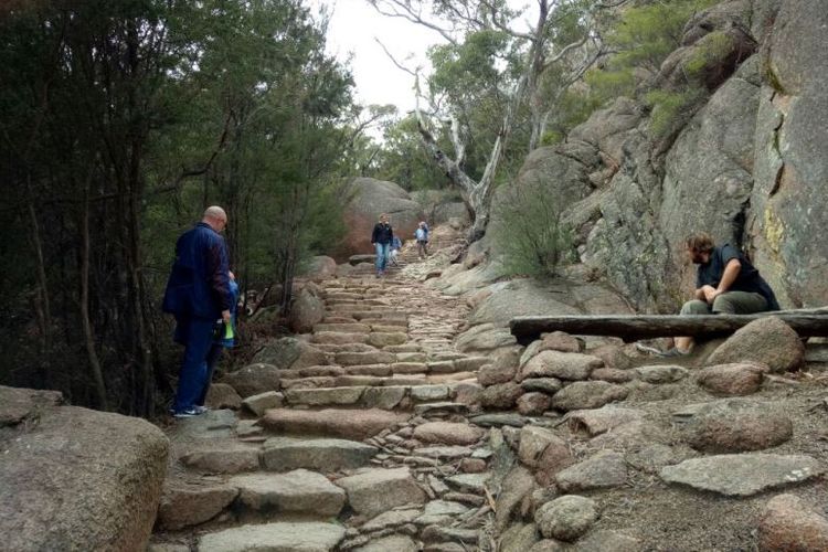 Tangga batu buatan dan sejumlah bangku menjadikan perjalanan menuju ke Wineglass Bay Lookout terasa jauh lebih nyaman. 