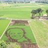 Ada Mural Wajah Ganjar Pranowo di Hamparan Sawah Kabupaten Semarang