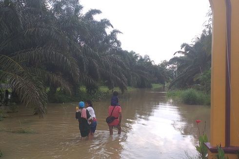 Cerita Warga Bertahan di Tengah Banjir Rokan Hulu, Setiap Keluar Rumah Takut Buaya dan Ular