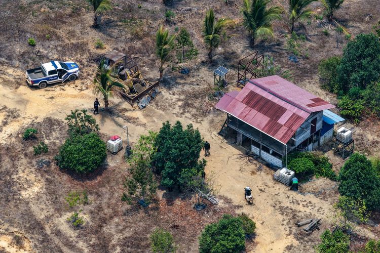 Otorita IKN Ungkap 23.556 Hektare Hutan Konservasi Diduduki secara Ilegal