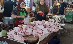 Peran Pelaku Ekonomi dalam Kegiatan Ekonomi