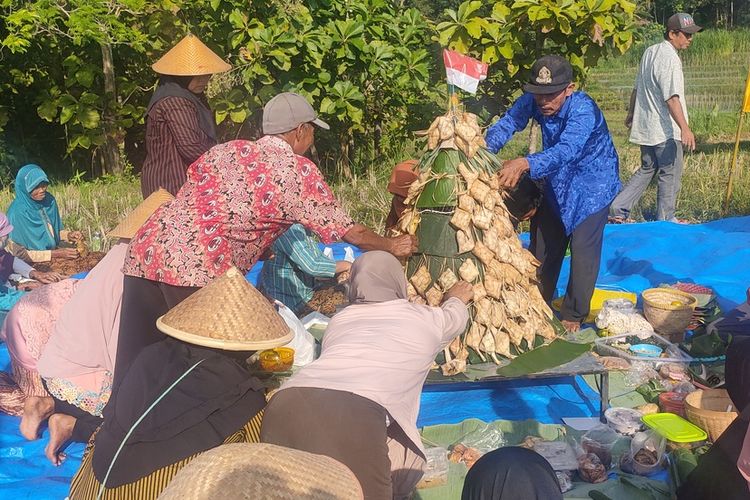 Melihat Tradisi Balangan Saat Kambing dan Sapi Dilempar Ketupat, Apa Maknanya?