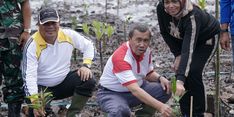 Dukung Program Riau Hijau, Gubernur Syamsuar Tanam 200.000 Bibit Mangrove di Bengkalis
