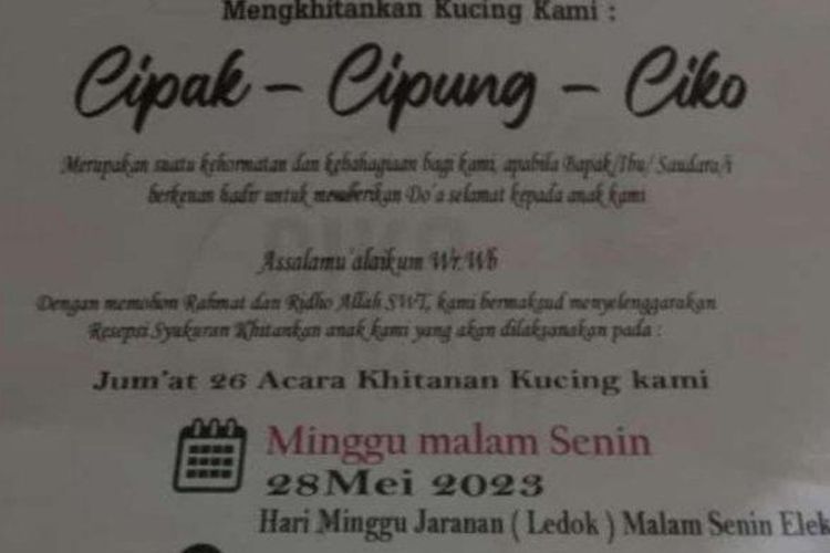 Undangan selamatan kebiri kucing yang diduga disebar oleh warga Banyuwangi.