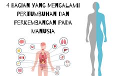 4 Bagian yang Mengalami Pertumbuhan dan Perkembangan