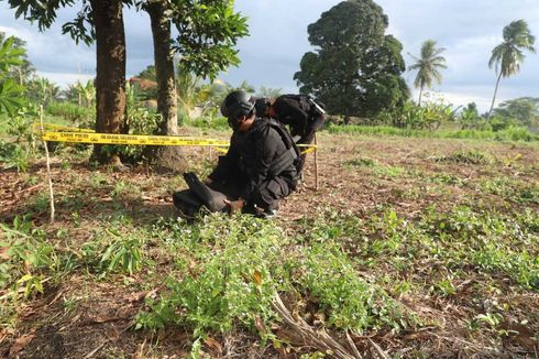 Hendak Panen Singkong, Seorang Petani Temukan Granat Nanas Aktif