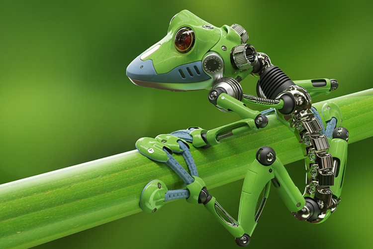 China Bikin Robot dari Otot Katak Asli, Dikendalikan Pakai Cahaya