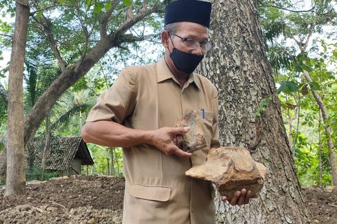 Tumijo Tak Menyangka Batu yang Dipakai untuk Mengganjal Ternyata Fosil Paus Purba