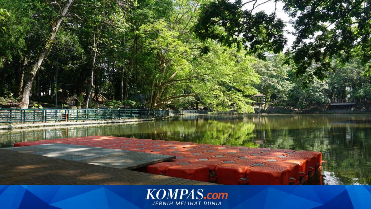 Soal Curhat Pengunjung Wisdom Park, UGM: Saat Kejadian Pengelola Memberikan Informasi dan Edukasi soal Ketentuan Tarif