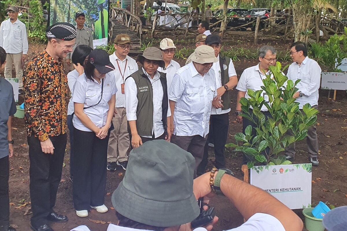Menteri Kehutanan RI Raja Juli Antoni (topi hijau), didampingi Wakil Gubernur DIY Paku Alam X, Wakil Menteri Pemberdayaan Perempuan dan Perlindungan Anak Veronica Tan, dan Duta Besar Inggris untuk Indonesia, ASEAN, dan Timor Leste. Dominic Jermey, di RPH Karangmojo, Gunungkidul. Selasa (6/5/2025)