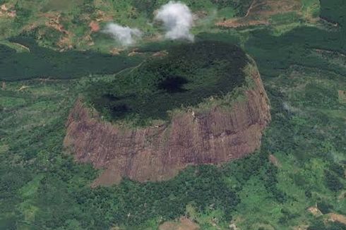 Penjelajahan Hutan Tersembunyi Mozambik, Pertama Kali Dijamah Manusia