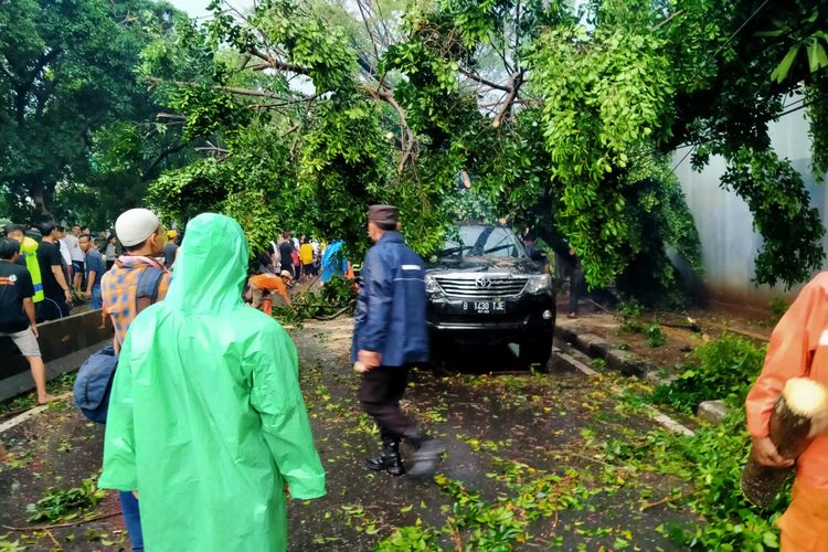 Toyota Fortuner tertimpa pohon tumbang di Jalan Panjang, Kebon Jeruk, Jakarta Barat.