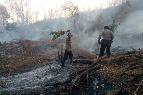 200 Hektar Lahan di Kaki Gunung Tambora Dibakar Oknum Tak Bertanggung Jawab