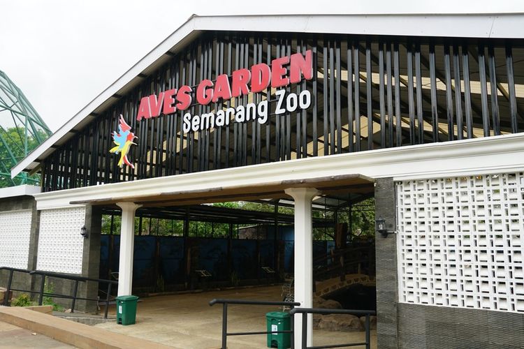 Harimau Putih Mati Usai Dipindah ke Medan, Pemkot Semarang Evaluasi Semarang Zoo
