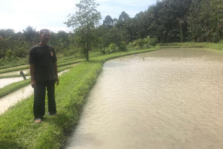 Petani di Simalungun, Sumatera Utara, yang bermitra dengan PT Suri Tani Pemuka (STP).