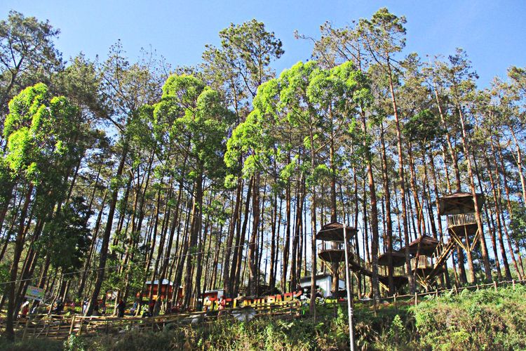 Lawu Park Tawangmangu 