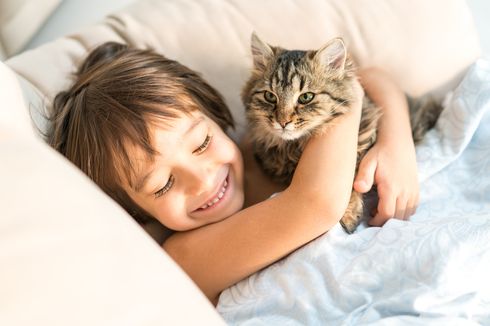 10 Ras Kucing yang Cocok untuk Anak-anak