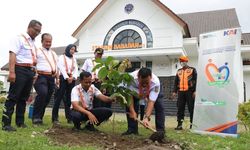 6.989 Pohon Ditanam Sepanjang 2025, KAI Perkuat Peran dalam Transisi Hijau Nasional