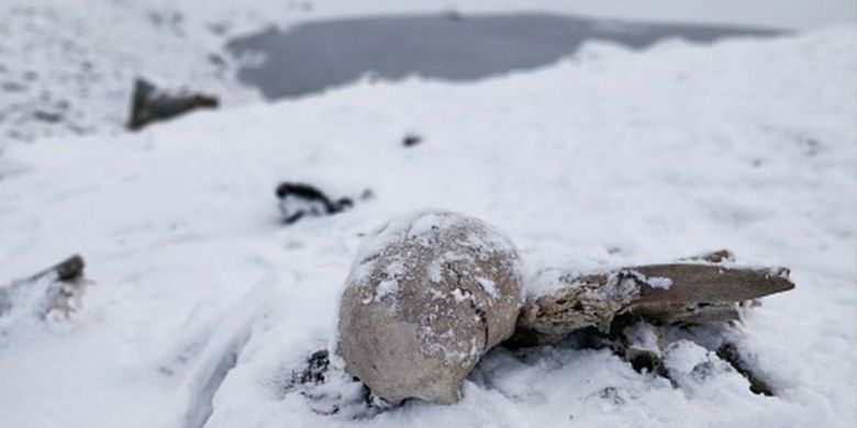 Hanya ketika salju mencair, kerangka manusia tampak jelas di lokasi danau tengkorak, India.