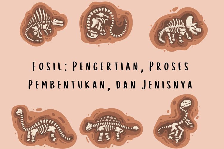 Ilustrasi fosil. Fosil adalah sisa tumbuhan, hewan, atau organisme lainnya yang terakumulasi kemudian mengendap dalam batuan.