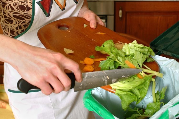 Ilustrasi sampah organik