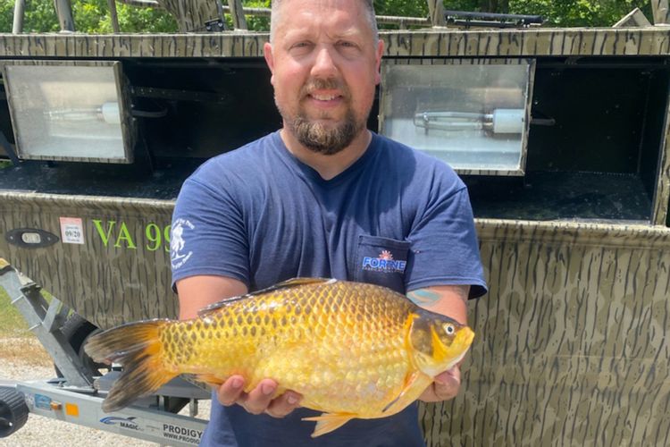 Seorang pemancing telah membuat rekor baru setelah menangkap ikan keemasan seberat 3 pon, 9 ons di Hunting Creek. 
