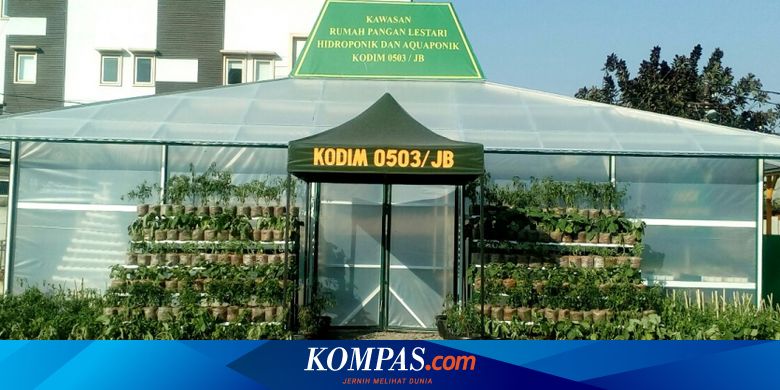 Kebun Hidroponik Di Tengah Megahnya Gedung Kawasan Jakarta Barat