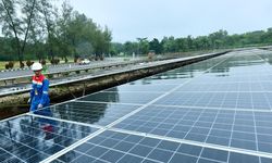 Terbesar di Pertamina, PLTS Zona Rokan Dorong Efisiensi dan Pengurangan Emisi