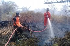 10 Hektar Lahan Sawit di Kabupaten Agam Terbakar