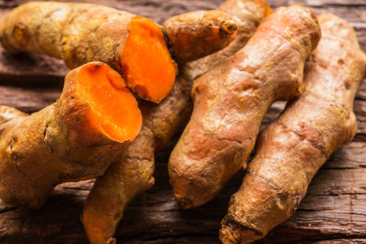 Rimpang tanaman kunyit