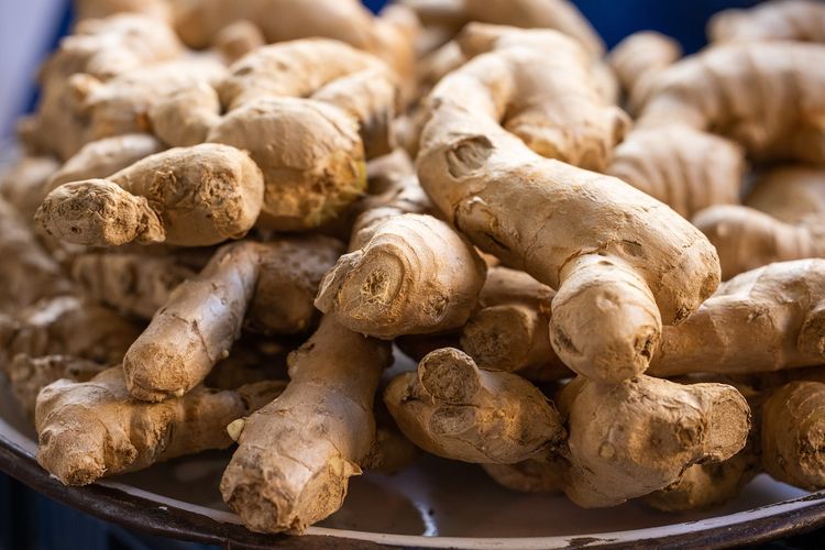 9 Herbal Alami untuk Menjaga Kesehatan Ginjal, Jahe hingga Leunca