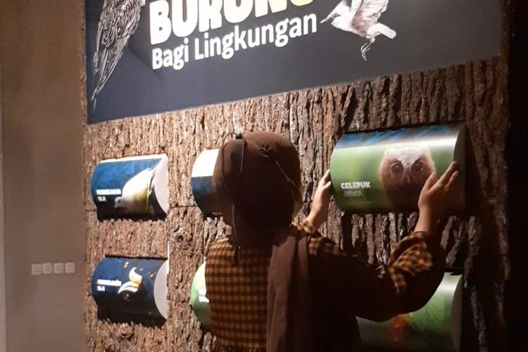 Animalium BRIN, Cibinong, Kabupaten Bogor, Jawa Barat