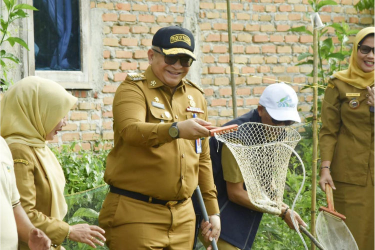 Pj Wali Kota Padang Andree Algamar saat memindahkan ikan dari area pendederan mina padi ke kolam pembesaran di Kelompok Patamuan.