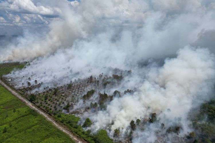 Karhutla di Kotim 6 Hari Tak Kunjung Padam, 2 Helikopter Water Bombing Dikerahkan
