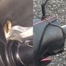 Viral, Foto Ular Muncul di Balik Setang Motor, Bagaimana Mencegahnya?